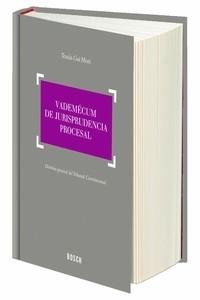 Vademécum de jurisprudencia procesal 9788416018673